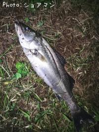 �����Х�