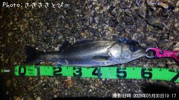 �����Х�