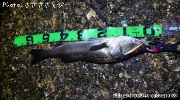 �����Х�