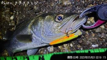 �����Х�