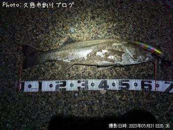 �����Х�