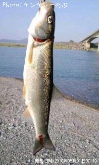 ¥¤¥À¡Ê¥¦¥°¥¤¡Ë