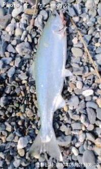 ���ĥ��ޥ�