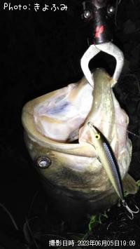 ¥Ö¥é¥Ã¥¯¥Ð¥¹