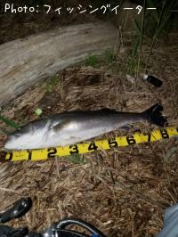 �����Х�