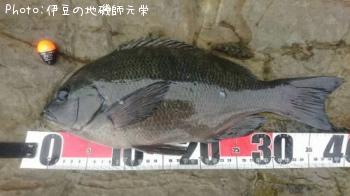 �����᥸��