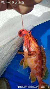 ��ᥫ����