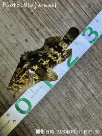 �����Υ���Х�