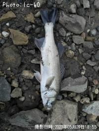 �����Х�