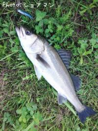 �����Х�