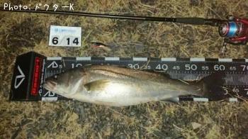 �����Х�