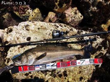 �����Х�