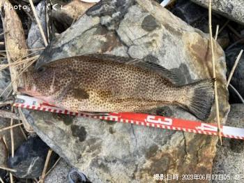 �������ϥ�