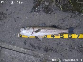 �����Х�