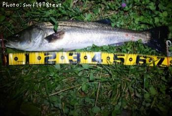 �����Х�