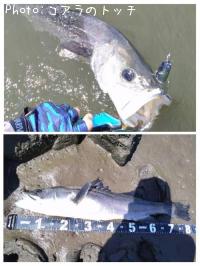 �����Х�