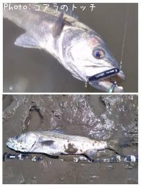 �����Х�