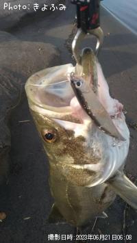 �����Х�