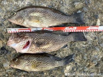 �������ϥ�