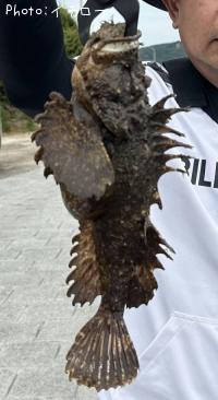 ���˥�����