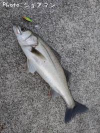 �����Х�