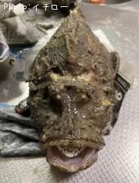 ���˥�����