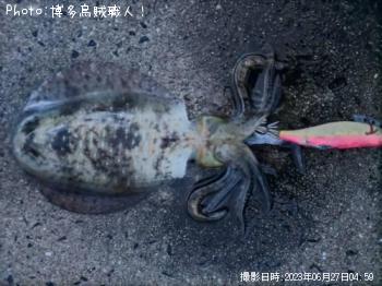 �����ꥤ��