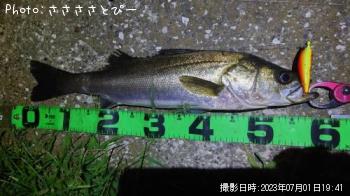 �����Х�