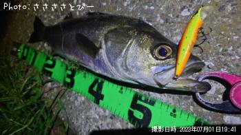 �����Х�