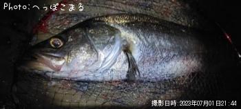 �����Х�