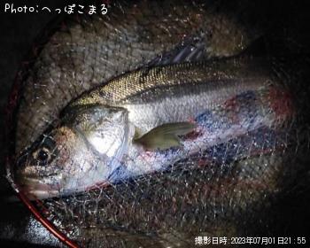 �����Х�