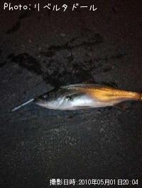 �����Х�