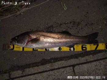 �����Х�