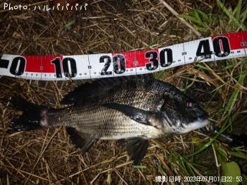 �����Х�����������