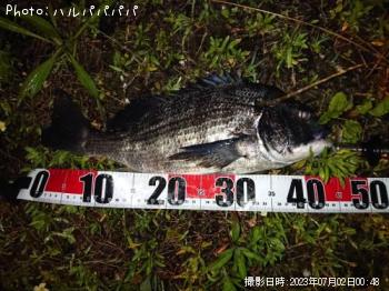 �����Х�����������