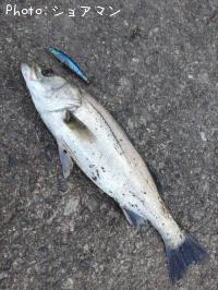 �����Х�