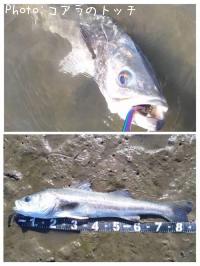 �����Х�