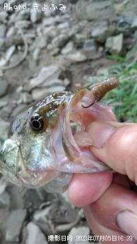 ¥Ö¥é¥Ã¥¯¥Ð¥¹