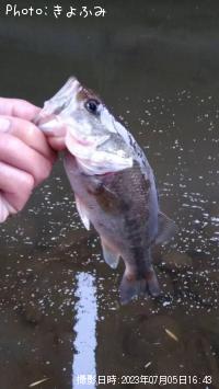 ¥Ö¥é¥Ã¥¯¥Ð¥¹