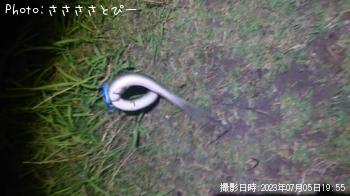 �ޥ��������ʤ����勵�ꥬ��