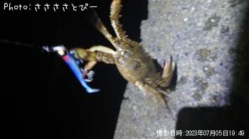 �ޥ��������ʤ����勵�ꥬ��