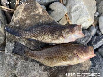 �������ϥ�