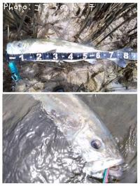 �����Х�