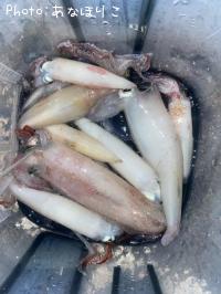 ���󥵥�����