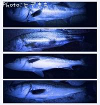 �����Х�