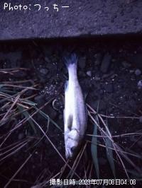 �����Х�