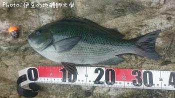 �����᥸��