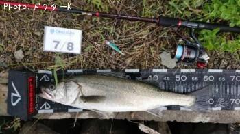 �����Х�