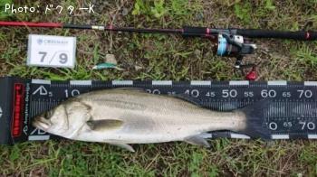 �����Х�