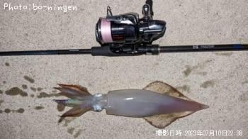 ¥±¥ó¥µ¥¥¤¥«